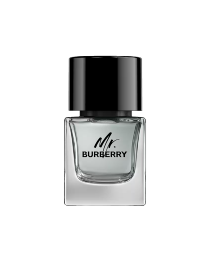 Mr. Burberry EDT